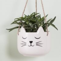 katten-planten-potje-2-s