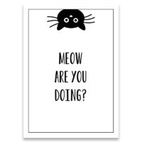kaartje-meow-are-you-doing