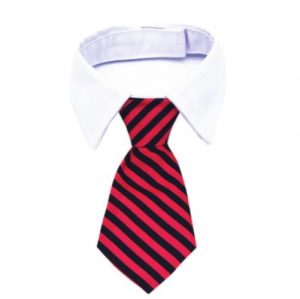 Katten-stropdas-rood