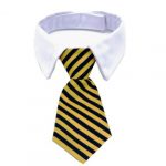 stropdas-halsband-kat-geel