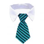 stropdas-halsband-kat-groen