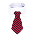 stropdas-halsband-kat-rood