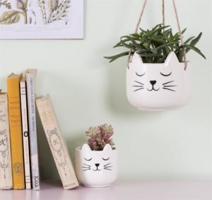 Hangend-plantenpotje-cats-whiskers