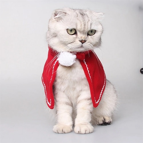 Katten kleding | kerst cape - OPZNKOP