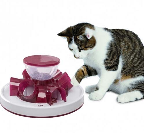 Cat-Activity-katten-Voerspel-tunnel-feeder-1-min-paars